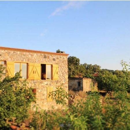 Unique Hotel Room Surrounded By Nature Close To Assos Ancient City In Ayvacik Canakkale Sazlı Exterior foto