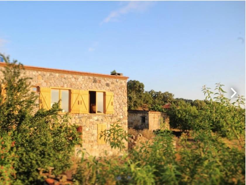 Unique Hotel Room Surrounded By Nature Close To Assos Ancient City In Ayvacik Canakkale Sazlı Exterior foto